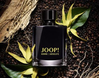 joop homme absolute aftershave