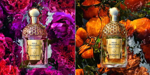 Mandarine Basilic Forte и Rosa Rossa Forte: любимые ароматы от Guerlain стали ещё более насыщенными