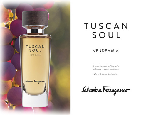3_Tuscan Soul Vendemmia