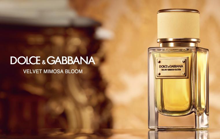 3-Dolce&Gabbana-Velvet-Mimosa- poster
