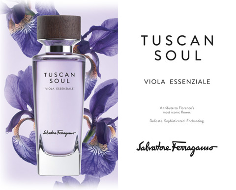 4_Tuscan Soul Viola Essenziale